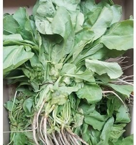 Spinach | Palak | 500 g