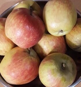 Fruits and Vegetables