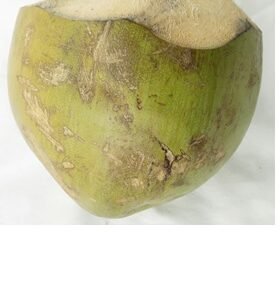 Coconut Water