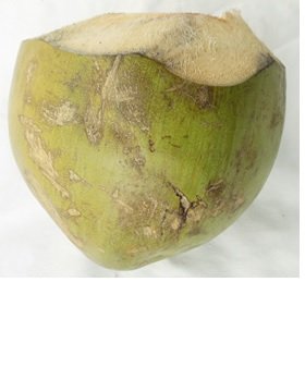 Coconut Water