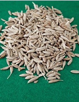 Jeera Cumin Seeds