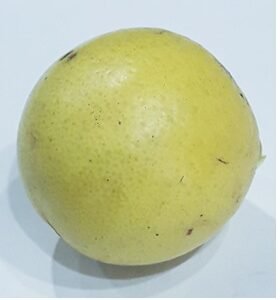 Fresh Numbu (Lemon)