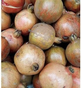 Pomegranate