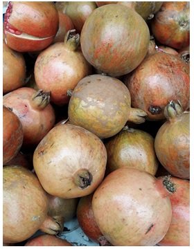 Pomegranate