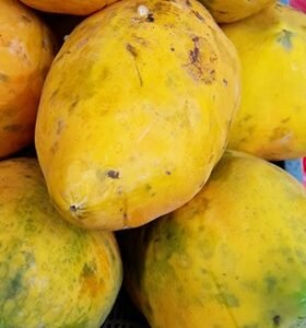 papaya